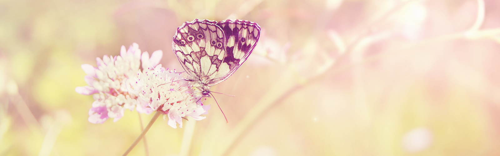 Marsupi Manduca Babytrage Banner